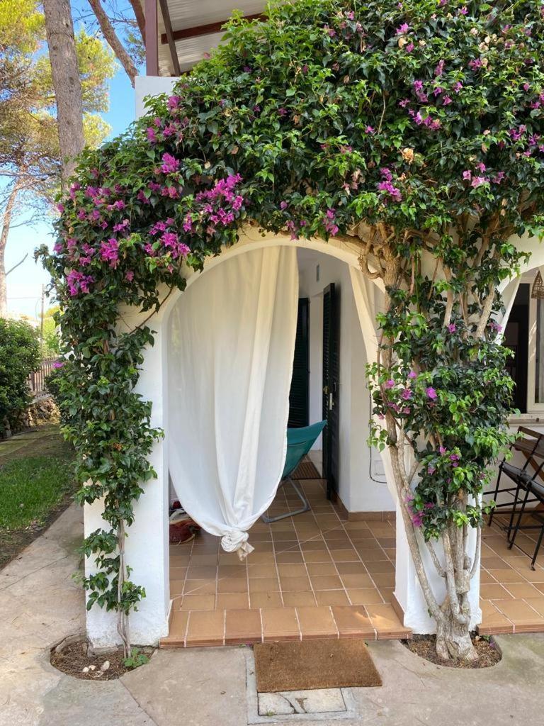 Bellver 1, Ciutadella-Cala Blanca Cala Blanca  Bilik gambar